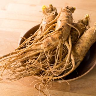 Estratto di foglie di ginseng
