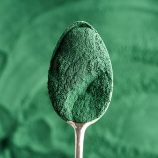 Polvere di spirulina